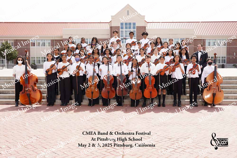 Musical Images